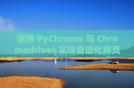 使用 PyChrome 与 Chromedriver 实现自动化网页操作 使用 PyChrome 与 Chromedriver 实现自动化网页操作